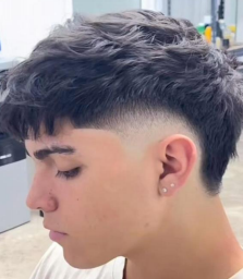 Mullet